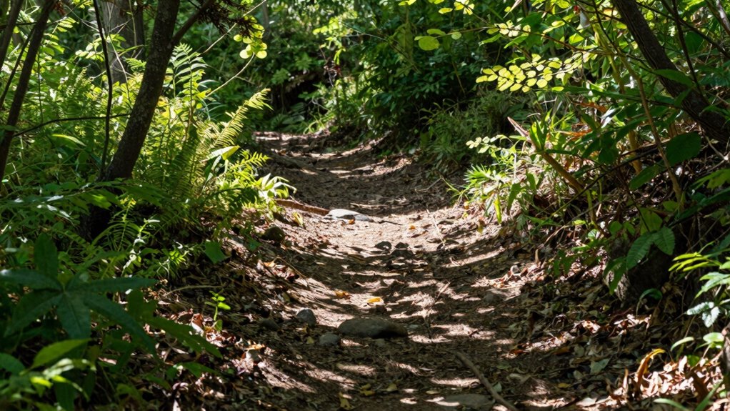 downhill running technique drills